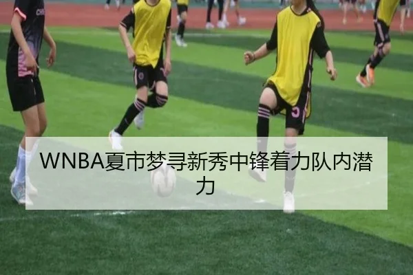 WNBA夏市梦寻新秀中锋着力队内潜力