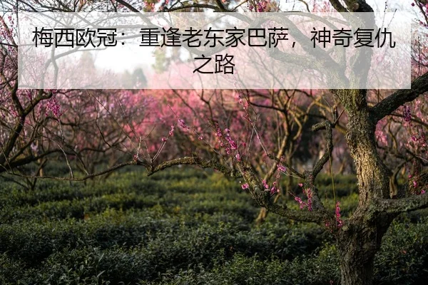 梅西欧冠：重逢老东家巴萨，神奇复仇之路